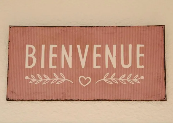 T3 Cosy Au Centre De