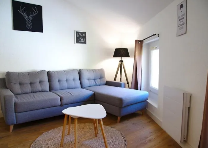 T3 Cosy Au Centre De